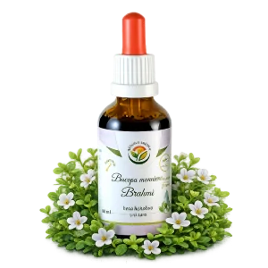 Tinktura - Bacopa monnieri (paměť, koncentrace) 50ml