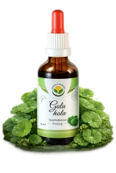 Tinktura - Gotu kola/Pupečník asijský  (paměť, koncentrace) 50ml