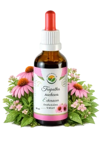 Tinktura - Echinacea/Třapatka, (imunitní systém, od 3 let pro děti) 50ml