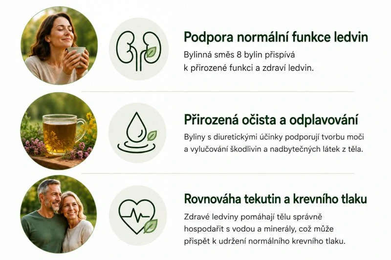 Bylinná směs klášterní apatyky "Ledvinový"