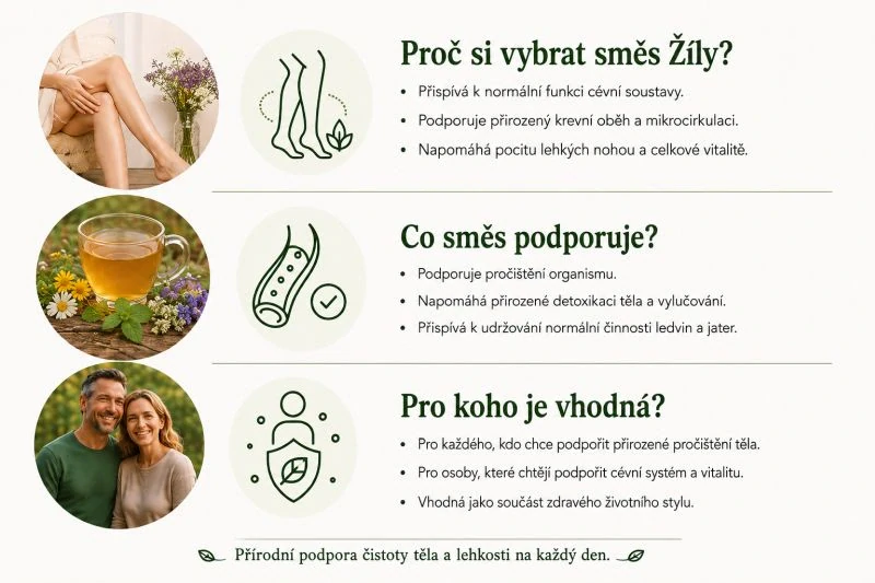 Bylinná směs z klášterní apatyky "Žíly" 