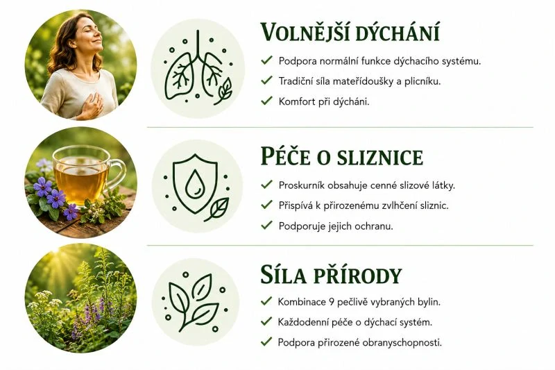 Bylinná směs z klášterní apatyky "Průdušky" 